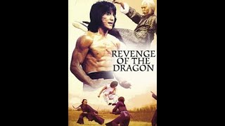 Jackie Chan Classic Movie Revenge Of The Dragon 1979 [upl. by Anot164]