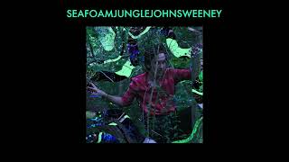 John Sweeney  Seafoam Jungle 2020 Full Album [upl. by Riegel]