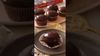 The Easiest Chocolate Ganache Cupcakes [upl. by Annohsak]