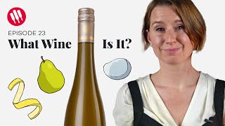 Learn by Tasting ep 23 Wine Folly [upl. by Elvah371]