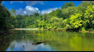 Fishing on Chattahoochee River [upl. by Rubinstein424]