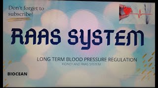 Raas system simplifiedlong term blood pressure regulation [upl. by Dalston368]