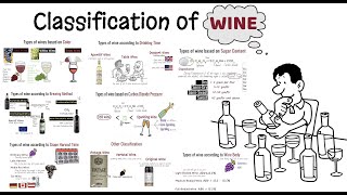 Wine and its classification Different Types of wineAlcoholic beveragesSparkling wine [upl. by Celesta448]