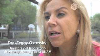 Entrevista con la Dra Feggy Ostrosky ¿Cuál es la diferencia entre violencia y agresión [upl. by Hussar]