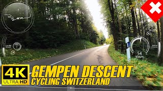 Cycling Switzerland  Autumn Road Descent From Gempen ASMR [upl. by Kliment]