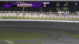 Kawartha Downs Harness Racing Live [upl. by Banna203]