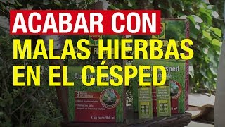 Acabar con las malas hierbas en el césped  COMPO Jardinería [upl. by Gino204]