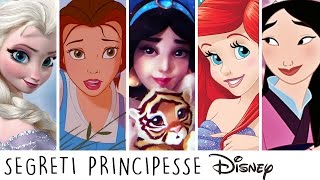 30 SEGRETI sulle PRINCIPESSE DISNEY che non sai [upl. by Nosreve]