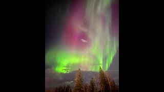 Dancing Skys Aurora Borealis Northern Lights Fort McMurrayaurora northernlights auroramagic [upl. by Niahs]