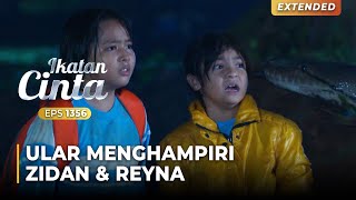 NGERI BANGET Zidan amp Reyna Ingin Digigit Ular  IKATAN CINTA  EPS1356 14 [upl. by Nnyluqcaj]