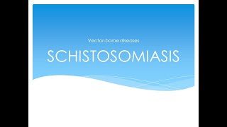 Schistosomiasis Lecture [upl. by Wan509]