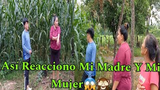 🔴Mi Madre Se Quedo Sorprendida😱 Al Ver Como Va Nuestra Cosecha De Maiz😊🌽 Asi Reaccionamos Todos😱 [upl. by Aihsenad]