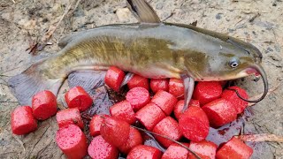 Fishing with Homemade Catfish Bait  catching bullheads from shore [upl. by Zul458]