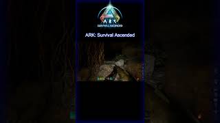 Watch Your Step  ARK Survival Ascended ARKShorts [upl. by Lainad]