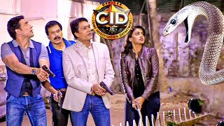 CID টিমের সামনে এল কালিয়া নাগ  সিআইডি CID  bengali crime series 2024 [upl. by Eisor456]