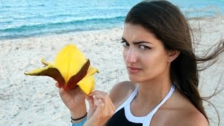 10 Summer Life Hacks EVERY Person Should Know [upl. by Mill712]