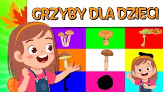 Grzyby  Filmy edukacyjne  Zagadki dla dzieci 🍂🍂🍂 [upl. by Bahner279]