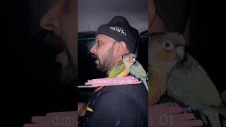 തേക്കടി യാത്ര 01 l It’s My Pet mittu and Kallu  My companion parrottraining parrottraining [upl. by Rhynd]