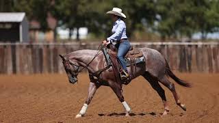 Hip No 1021 NRCHA Snaffle Bit Futurity Sale  MATES BLU BOON by Once In A Blu Boon [upl. by Ettenyar]