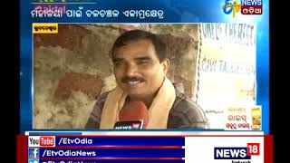 quotMahalaya Amavasyaquot celebrated with religious fervour in Odisha  Etv News Odia [upl. by Lunna]