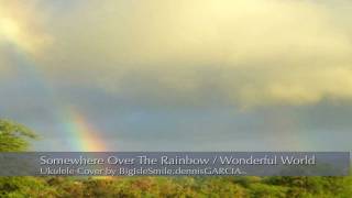 Somewhere Over The Rainbow  Wonderful World COVER by bigislesmile [upl. by Leacock]