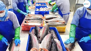 Como Se Hace Funciona La Moderna Línea De Procesamiento De Pescado Dentro De La Fábrica [upl. by Heyward]