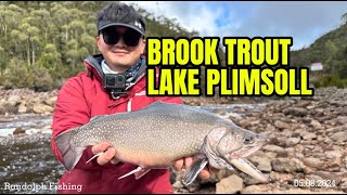 My First Ever Brook Trout  Lake Plimsoll  West Coast Tasmania [upl. by Eda]