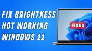 Brightness Not Working in Windows 11  How to FIX [upl. by Ellatsirhc]