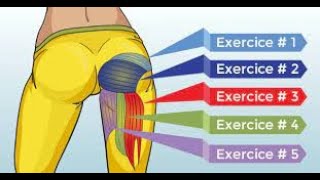 BEST EXERCICE FESSIER amp JAMBES MUSCLER MOTIVATIOON [upl. by Terag]