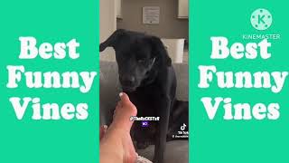 RxCKSTxR Comedy Voiceover Funny Vines Compilation [upl. by Alma790]