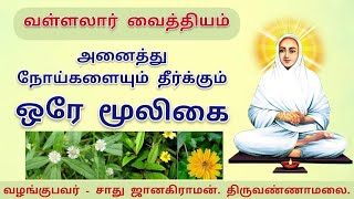 வள்ளலார் அருளிய கரிசலாங்கண்ணி மூலிகையின் பயன்கள் vallalar karisalanganni bringharaj herbal benefit [upl. by Aidnis]