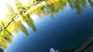 hydravion Rc sur Foil [upl. by Raye639]