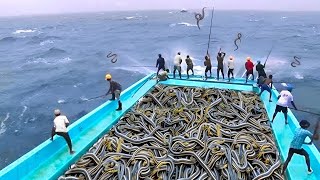 Fishing Boat Discovers Something Terrifying in the Sea That Shocks the Whole World [upl. by Aciruam]