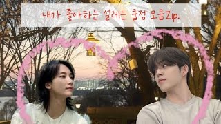 세븐틴에스쿱스정한 내가 좋아하는 설레는 정쿱 모음Zip 2편 A collection of exciting Jeongcheol moments Part 2 [upl. by Nmutua778]