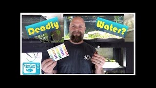 The Silent Killer  Nitrates in Your Fish Tank  What to Do About Them [upl. by Adnwahsar]