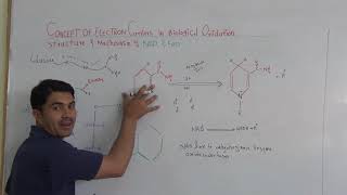 Structure and mechanism of NAD and FAD Electron carriers in biological oxidation in English by Dr Ha [upl. by Glenna]