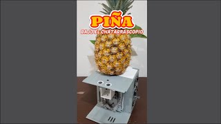 Así se ve una piña  anana al Microscopio Casero [upl. by Desdamona]