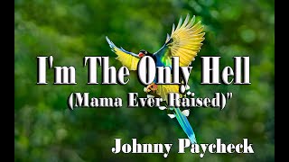 Im The Only Hell Mama Ever Raised  Johnny Paycheck [upl. by Vitus]