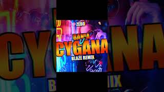 Zero  Bania u Cygana BLAZE Remix shorts vixa remix [upl. by Tarfe221]