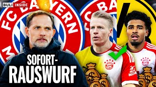 Thomas TUCHEL vor SOFORTENTLASSUNG TRANSFERDUELL um Ian MAATSEN amp Chris FÜHRICH [upl. by Walther]