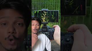 Samsung vs DSLR photography s24ultra nikon samsung23ultra photographer galaxy23ultra camera [upl. by Addison]