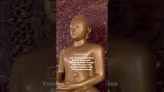 Free Meditation Indiana Buddhist Temple Mindfulness Loving Kindness Meditation Bhante Devananda [upl. by Hett]