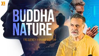 Buddha Nature [upl. by Eatnahc]