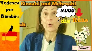 Einzahl und Mehrzahl Singolare e Plurale [upl. by Yotal]