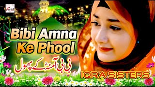 New Rabi Ul Awal Title Naat 2012  Bibi Amna Ke Phool  Milad Special Kallam  Islamic Naat naats [upl. by Annaerb635]