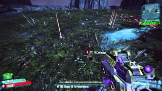 Borderlands2 DLC Sir Hammerlock 5  Pies grandes [upl. by Meekah]