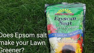 Epsom salt application on the lawn before and after results [upl. by Georgeanna841]