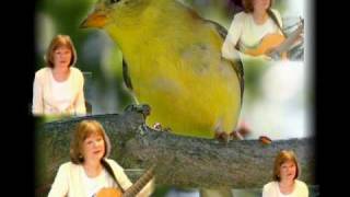 Yellow Bird song Chris Isaak cover 3 part harmony [upl. by Illil]