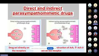 Parasympathomimetics Medicine [upl. by Elleimac655]