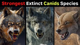 10 Most Powerful Extinct Canid Species [upl. by Eimmak382]